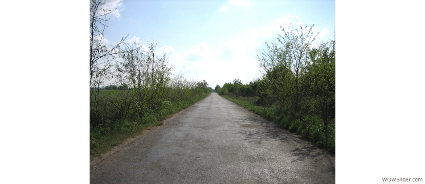 Main access road